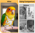 Telooco 6Pcs Bird Diaper, Reusable Parrot Diapers with Waterproof Inner - Washable Parrot Diapers for Indoor Parakeet