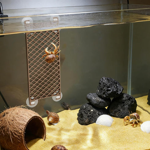 CYUXING 3D 4Pcs Printed Hermit Crab Ladder Toy - PLA Climbing Wall Accessory with Suction Cups for Reptile Habitat