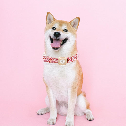 Elegant little tail Airtag Dog Collar, Valentine's Day Adjustable Pet Collar with Airtag Holder for Medium Dogs