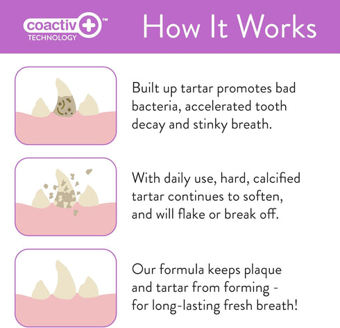 Pet Dental Wipes by SKOUT'S HONOR