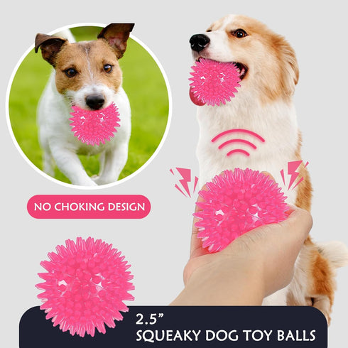 16 Pack Squeaky Dog Balls - 2.5'' Spiky TPR Rubber Balls for Teething, Interactive Fetch Toys for Small and Medium Dogs