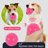 16 Pack Squeaky Dog Balls - 2.5'' Spiky TPR Rubber Balls for Teething, Interactive Fetch Toys for Small and Medium Dogs