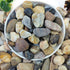 2lbs Natural Mixed Pebbles 5/8" for Fish Tank, Decorative Polished River Rocks for Landscaping