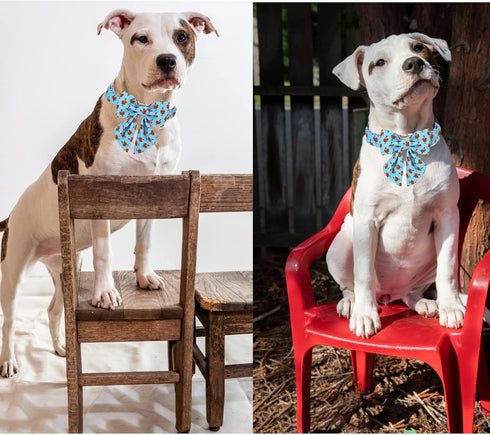 Unique Style Paws Thanksgiving Dog Collar with Bow Tie, Blue Turkey, for Small Medium Large Dogs, Autumn Winter Gifts -