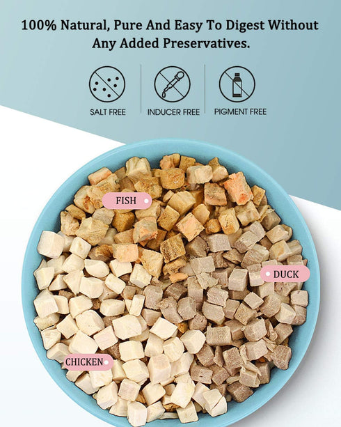 3 in 1 Meat Turtle Food - Natural Freeze Dried Human-Grade Chicken, Duck & Fish Treats
