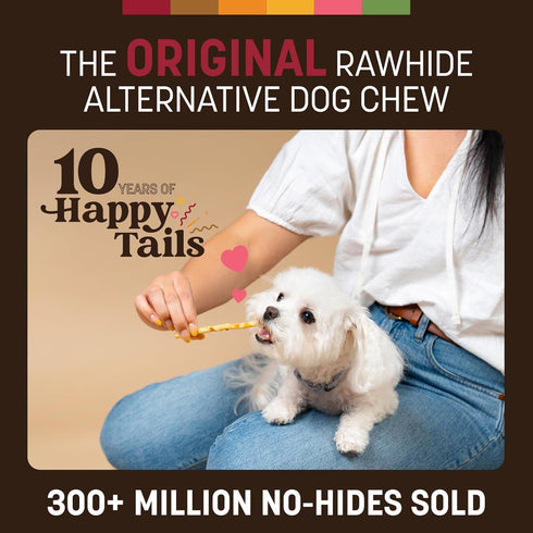 Earth Animal No Hide Stix Beef Flavored Natural Rawhide Free Dog Chews, Long Lasting Chew Sticks, Treats for Small Dogs