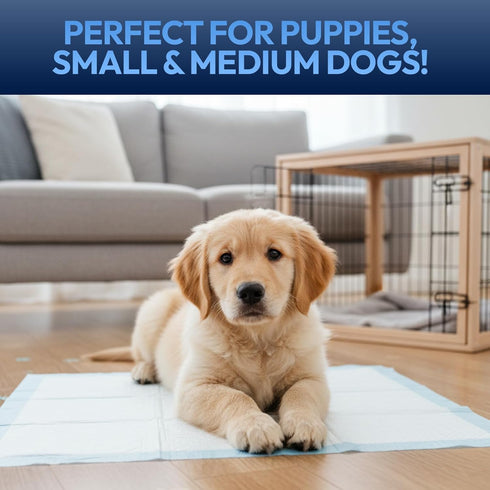Brooklyn Pet Gear 22"x22" 50 Count Training Pads for Dogs & Puppies, Super Absorbent, Leak-Proof Protection