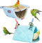 2Pcs Bird Bed for Cage, Hanging Hammock Snuggle Hut, Sleeping Tent Toy for Parakeets, Budgies, Cockatoos