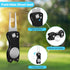 Golf Club Cleaning Kit - Includes Cleaner, Water Towel, Groove Sharpener, Divot Repair Tool, and Magnetic Ball Maker