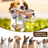 Squeaky Dog Toys, Interactive Durable Rope-Infused Lion Shape Chew Toys for All Dog Sizes