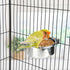 Hypeety Pet Bird Food Feeding and Drinking Cup - Stainless Steel Hanging Bowl for Parrot