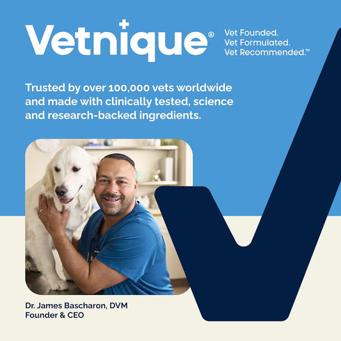 Vetnique Glandex Anal Gland Soft Chew Treats for Dogs, Peanut Butter Chews, 60 Count