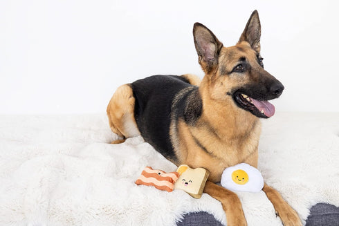 Set 3, Set, Set, Pearhead Barkfast Dog Toys, of Plush Pet Squeaker Toys, Breakfast Dog Toy Toast Bacon & Egg Toy Must