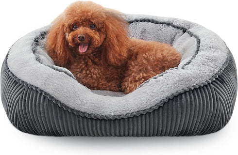 SIWA MARY Dog Beds for Small Medium Large Dogs - Washable Orthopedic Sofa Bed, Soft Calming Anti-Slip Bottom