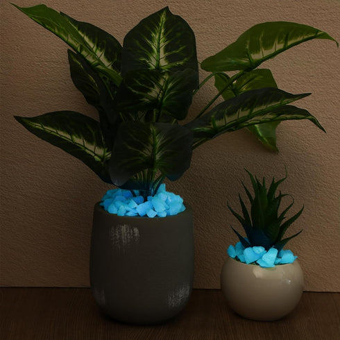 Glow in The Dark Gravel, 300g Fluorescent Decorative Rocks for Fish Tank and Garden Planter
