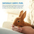 HealthyGut Probiotics for Rabbits, All-Natural Dietary Supplement for Digestive System, 120 Servings
