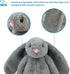 Best Pet Supplies Interactive Bunny Buddy Dog Toy, Crinkle and Squeaky Enrichment for Small/Medium Breed Puppies, Plush