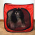 Portable Pop Up Dog Crate - Medium Size