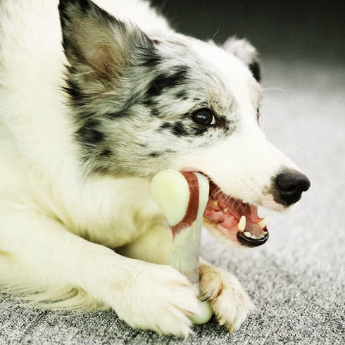 Tikaton Indestructible Dog Chew Toys for Aggressive Chewers, Beef Flavor Durable Teething Bones for Puppies
