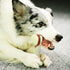 Tikaton Indestructible Dog Chew Toys for Aggressive Chewers, Beef Flavor Durable Teething Bones for Puppies