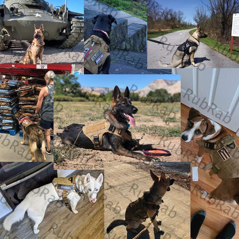 Tactical Dog Harness Vest with Handle, Military Working Training Molle Vest, Black Harness with Leash and Metal Buckles