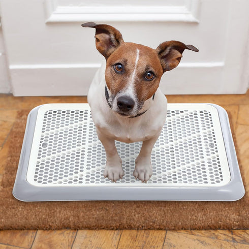 Bathroom(19.69 14.17 Inch) Mifoci Dog Training Pad Holder with Mesh Tray Non-Slip Leak Proof Puppy Potty Tray for Small