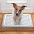 Bathroom(19.69 14.17 Inch) Mifoci Dog Training Pad Holder with Mesh Tray Non-Slip Leak Proof Puppy Potty Tray for Small