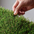 HQ4us 23" 16" 2Artificial Hemmed Dog Grass Pad with Tray Small x Dog Litter Box Toilet for Puppy (No Grate) with Grass