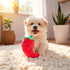 ZLmoue Funny Red Fruit Dog Toys, Vegetable Dog Toys Squeaky Plush Chili Eggplant Corn Puppy Toys for Small Dogs,Chili