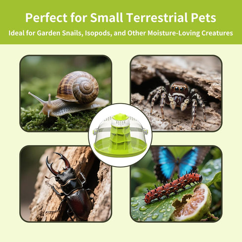 Round Transparent Snail Terrarium Kit, Small Animal Carrier with Removable Base, Portable Bug Observation Box