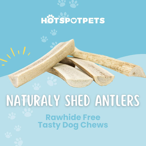 Split Elk Antlers for Small Dogs | Naturally Shed, Long-Lasting Chews for Dental Health - Made in The USA
