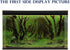 New 20" x 48" Fish Tank Background Paper, 2 Sided Colorful Seaweed Water Plants Aquarium Poster