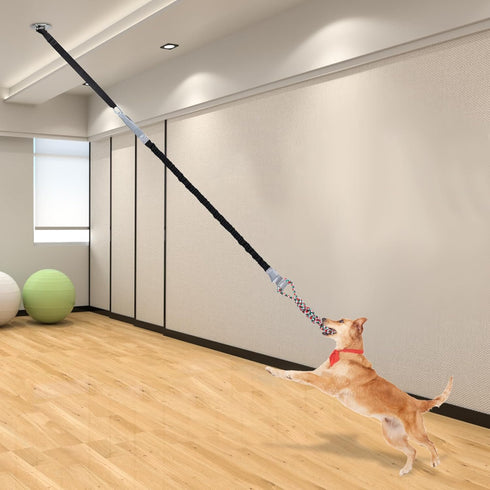 Outdoor Bungee Tug Toy - Dog Toy Hanging from Wall, Interactive Chew Rope Toy for Large Breed Puppies & Small Dogs
