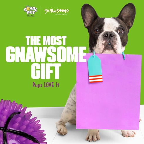 Gnawsome Dog Toys - 2.5-Inch Spiky Squeaker Basketball - Small - Durable, 100% BPA-Free, Assorted Colors