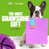 Gnawsome Dog Toys - 2.5-Inch Spiky Squeaker Basketball - Small - Durable, 100% BPA-Free, Assorted Colors