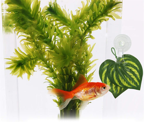 SLSON Aquarium Accessories for Fish Tank - Fishes Veggie Seaweed Plant Suction Cup Clip Feeding Tool (4 Pack
