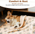 Set Puppy Supplies Starter Kit Puppy Essentials and Dog Stuff for Small Dogs, Includes Bowls, Toys, Toothbrush, Treat