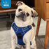 Voyager No Pull Dog Harness for Small Dogs, Adjustable Soft Pet Harness with Dual Leash Attachments, Royal Blue