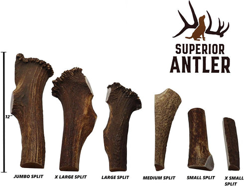 1 Large Split Antler Chew, All Natural Premium Grade A, 5"-9” Length, Made in The USA