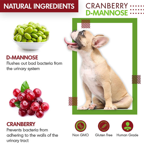 Cranberry D-Mannose for Dogs and Cats, 60 Count Tablets for Urinary Tract Infection Support and Kidney Health
