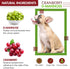 Cranberry D-Mannose for Dogs and Cats, 60 Count Tablets for Urinary Tract Infection Support and Kidney Health