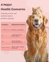 100 10 Pawfly Urine Test Strips for Dogs & Cats, Strips, Pet Urine Testing Strips for Parameters, UTI Test Strips