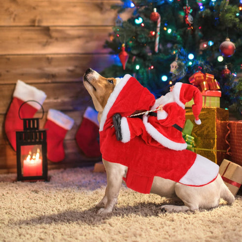BWOGUE Santa Dog Costume, Christmas Pet Clothes for Small Medium Large Dogs, Party Dressing Up Outfit
