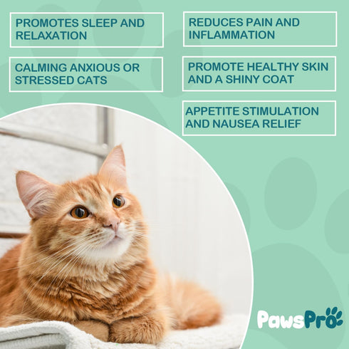 Hemp Oil for Dogs and Cats, Helps with Anxiety, Pain, Stress, Sleep, Arthritis Relief, Calming Treats Chews