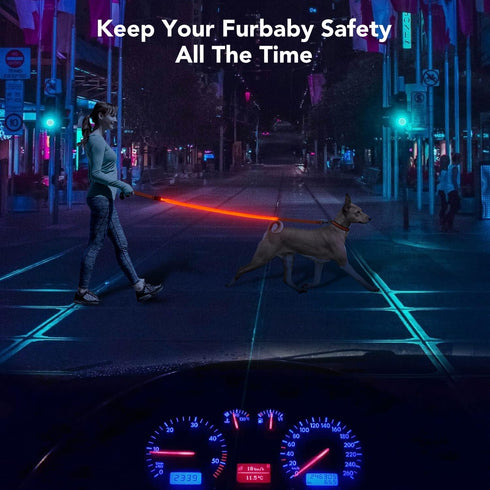 LED Dog Leash - 4 Feet Red Light Up Nylon Webbing, Micro USB Rechargeable Safety Standard Leash for Dogs