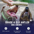 Devil Dog Pet Co. Elk Antlers for Dogs, 1 Pack, Jumbo 8”+, Grade A Long Lasting Dog Bones for Aggressive Chewers