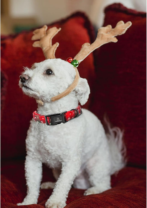 Lionheart glory Christmas Plaid Dog Collar, Adjustable Soft Pet Gift for Small Medium Large Dogs in Red