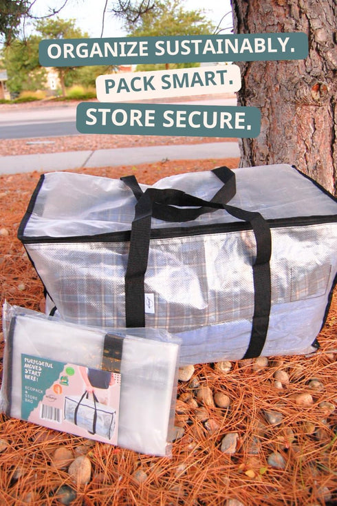 Pack: Pack Adventure & Organization Power Large Black Camp Chair Bag + Transparent & Store Bag