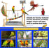 kathson Bird Playground,Parakeet Play Stand,Parrots Play Gym with Food Bowls,Cockatiel Playstand with Chewing&Exercise