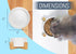 NAT & Jules Small White 6 inch Stoneware Ceramic and Wood Pet Bowl with Stand